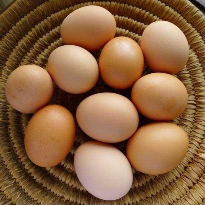 Organic Eggs 800g (doz)