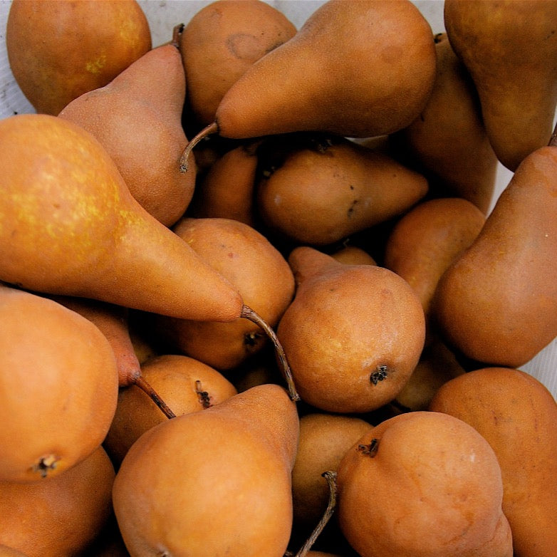 1kg Certified Organic Bosc Pears