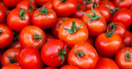 Organic Tomatoes 1kg