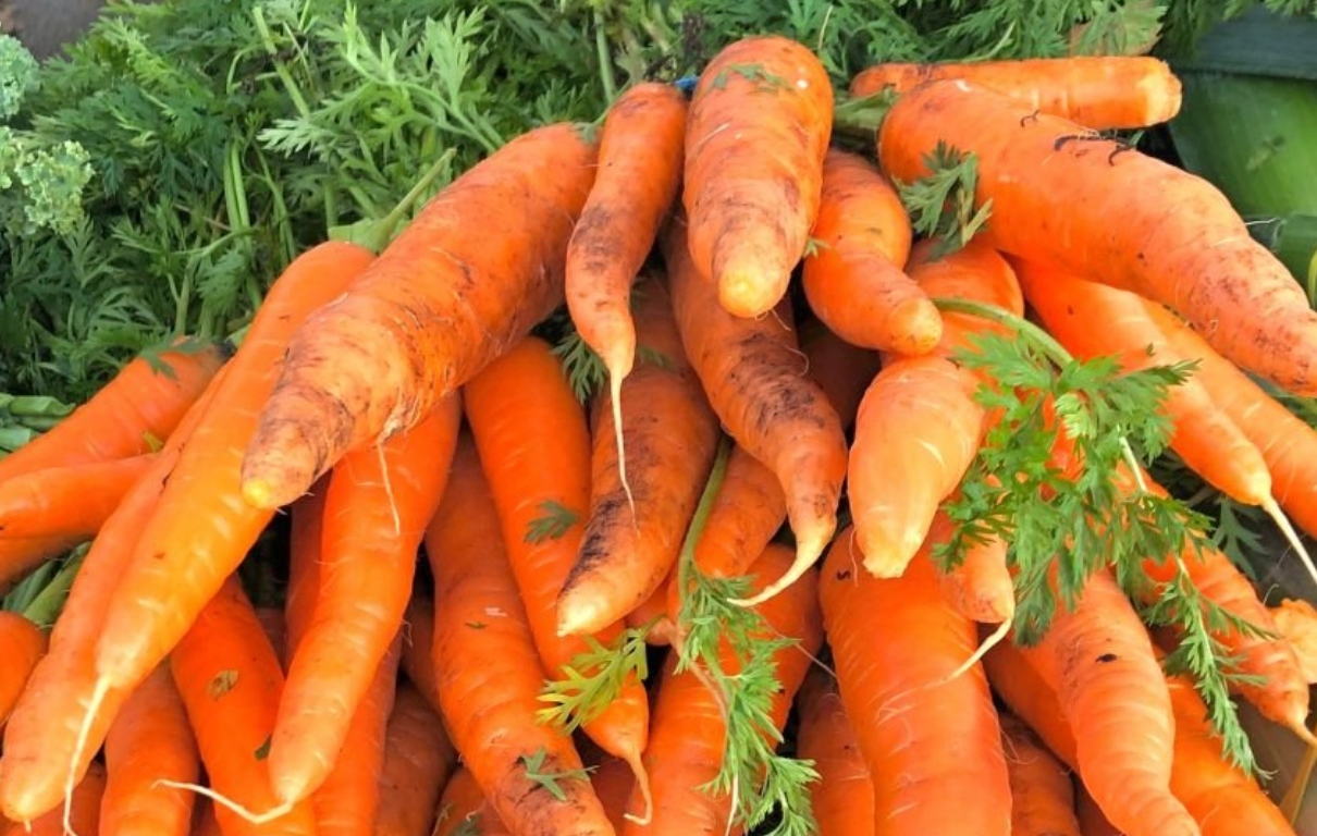 Certified Organic Carrots 1kg