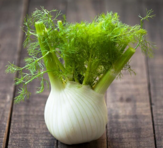 Certified Organic Fennel