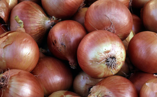 Certified Organic brown onions kg