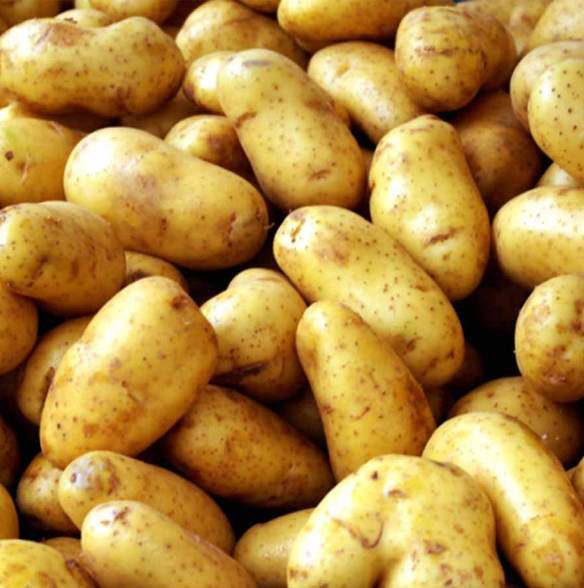 Organic potatoes 1kg